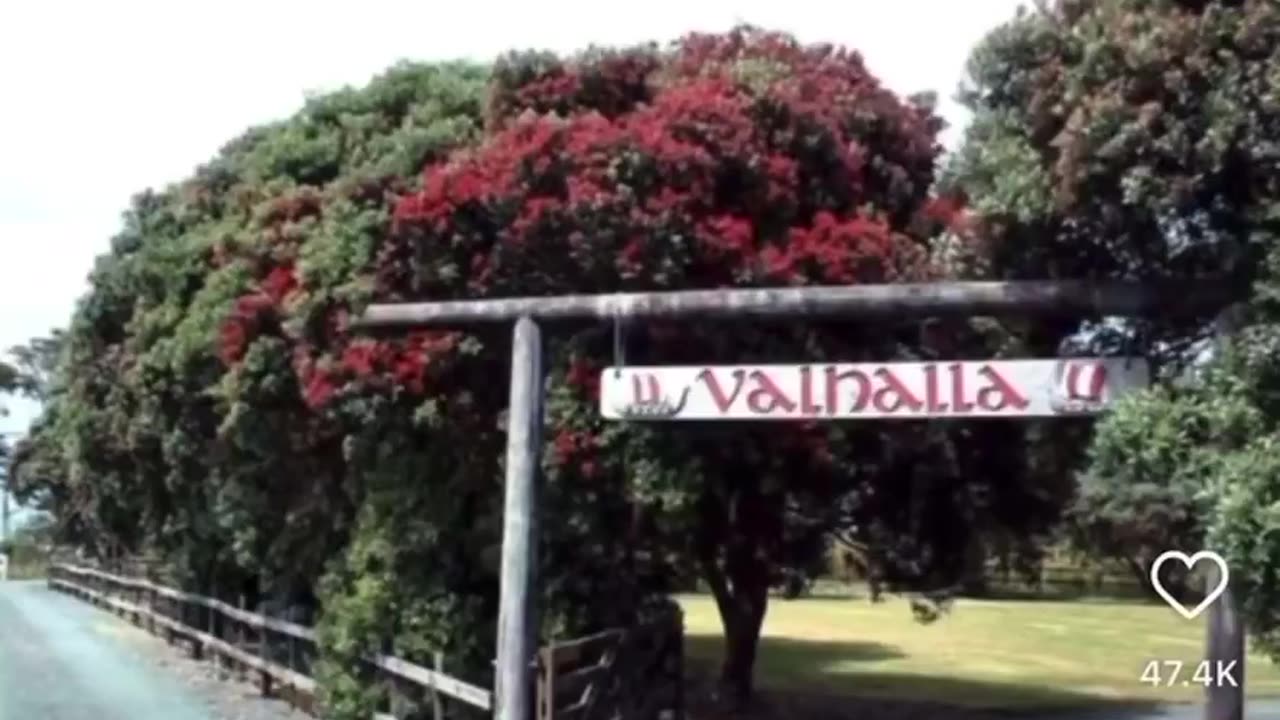 Charlie Kirk, Tyler Johnson, Kash Patel all in it.