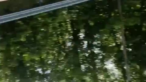 Flipping your car and the first thing you do is grab your phone is diabolical