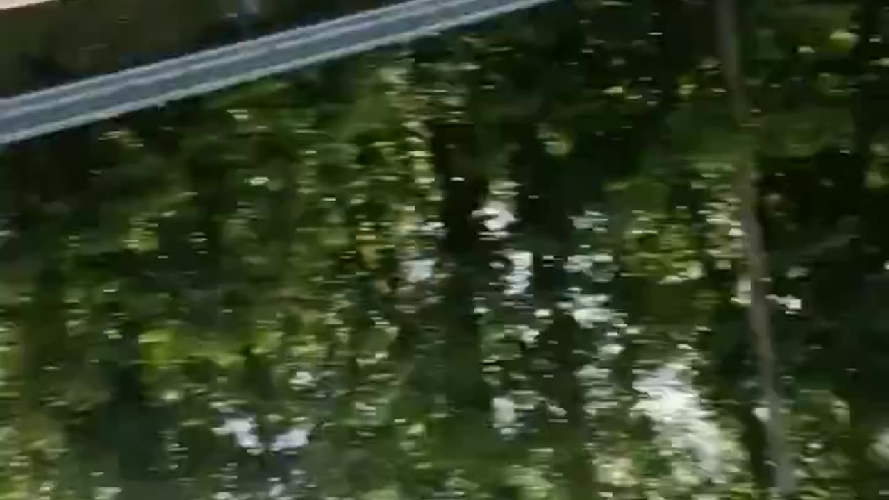 Flipping your car and the first thing you do is grab your phone is diabolical