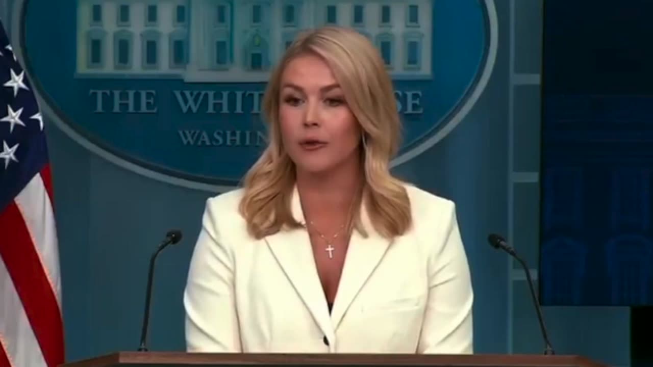 Massive DOGE Discovery Will Be Released Shortly - White House Press Briefing