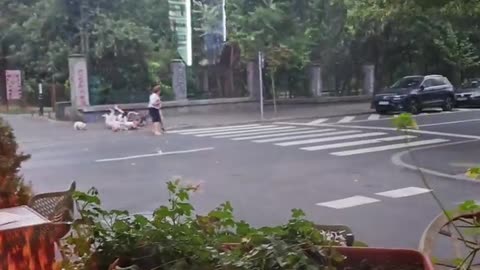 🌪️😱 Storm in My City is Scary! | FunFM