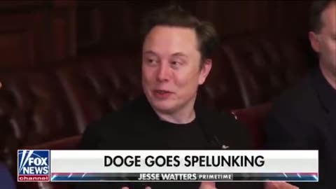 EYES OPEN - DOGE part 2