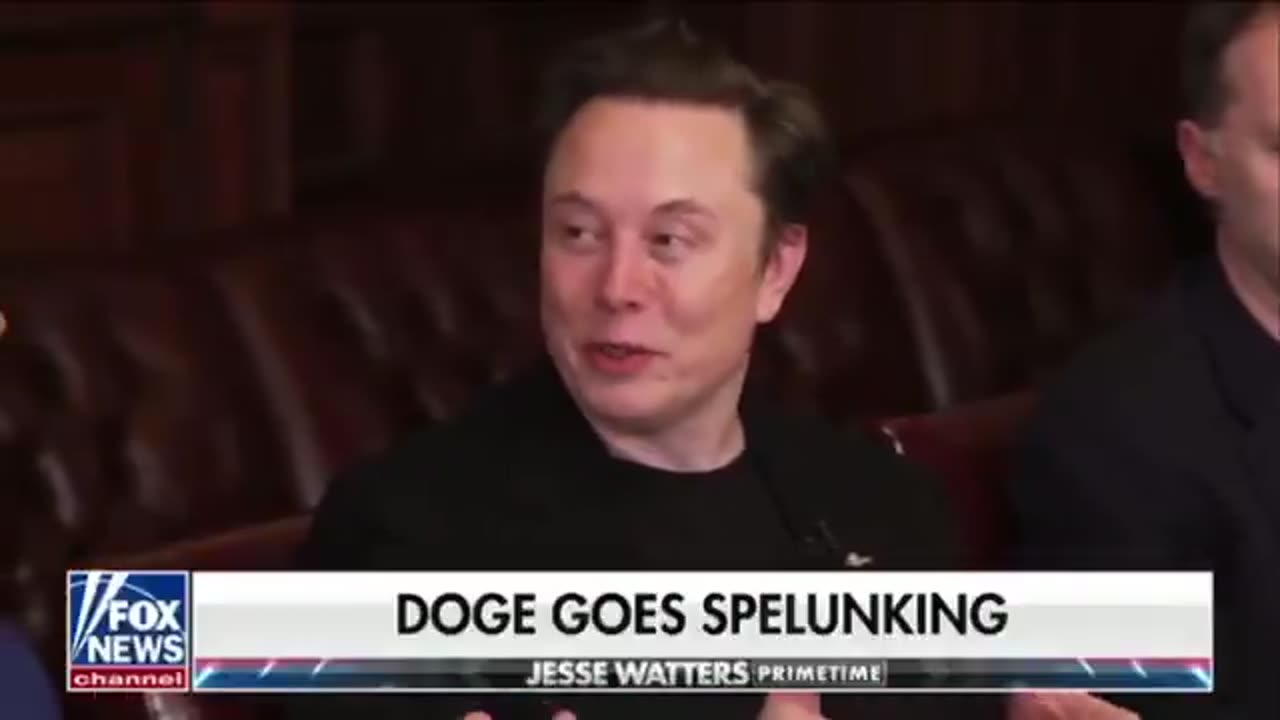 EYES OPEN - DOGE part 2
