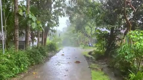 Heavy Rainstorm in the Deep Forest at Night 🌧️🌳 | Relaxing Sleep with Intense Rain Noise