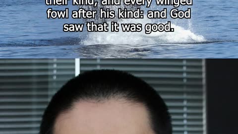 God created whales