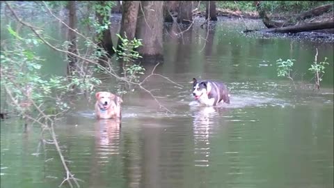 Bobbi and Rocky Check the Fishing Hole for Rabbits