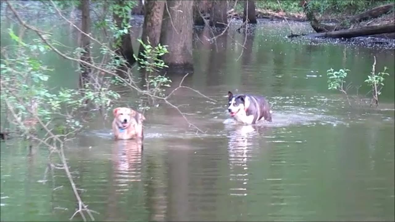 Bobbi and Rocky Check the Fishing Hole for Rabbits