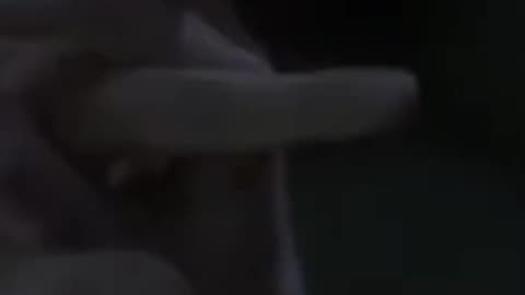 If HBO Made Fantastic Beasts