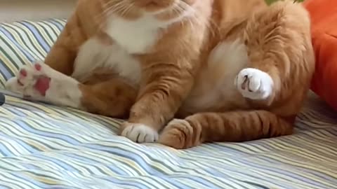 Execuse meeee!!?? Privacy pleaseee !!