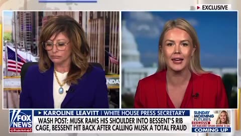 Did Elon Musk body check the treasury secretary in the white house?