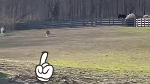 Comedy compilation #1