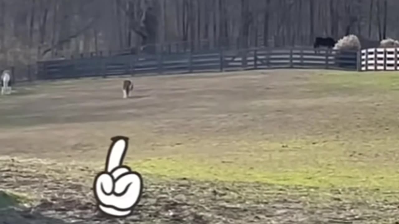 Comedy compilation #1