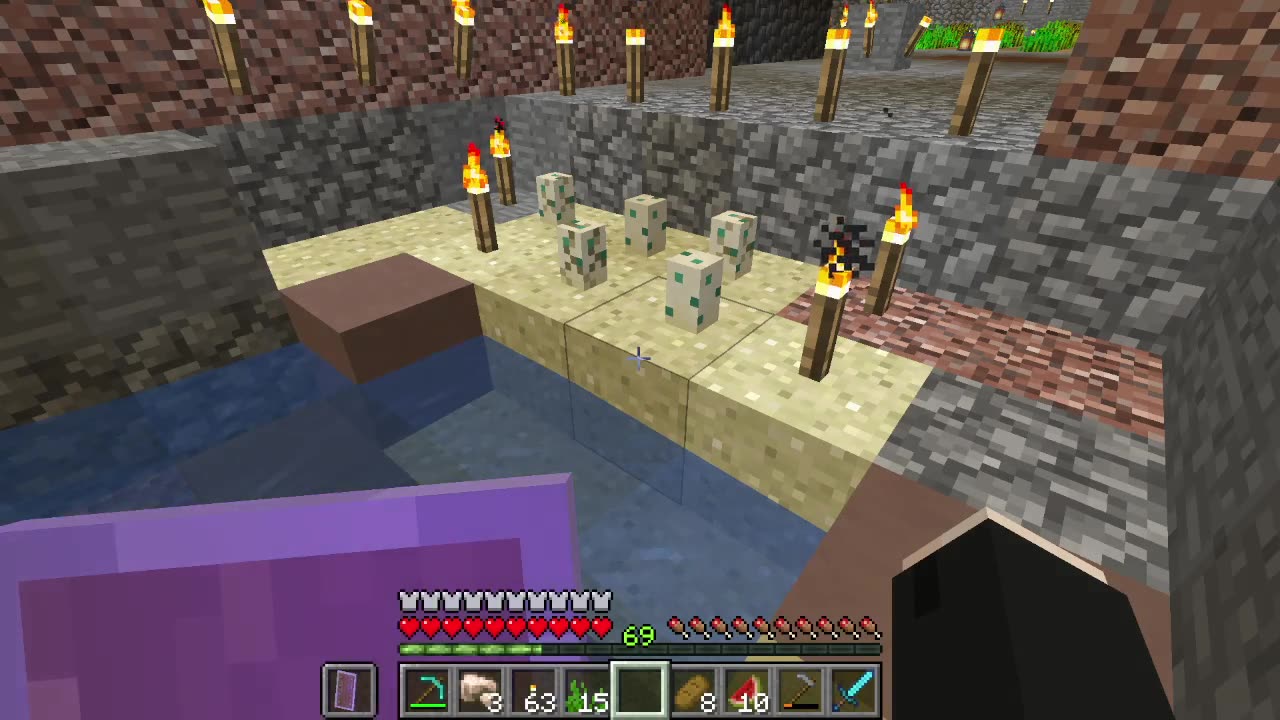 Turtle Helm Doom Part 2