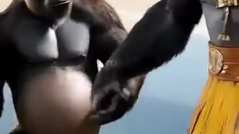 Unusual Wedding: When Nature Witnesses Wordless Love #nature #animals #funny #love #trending