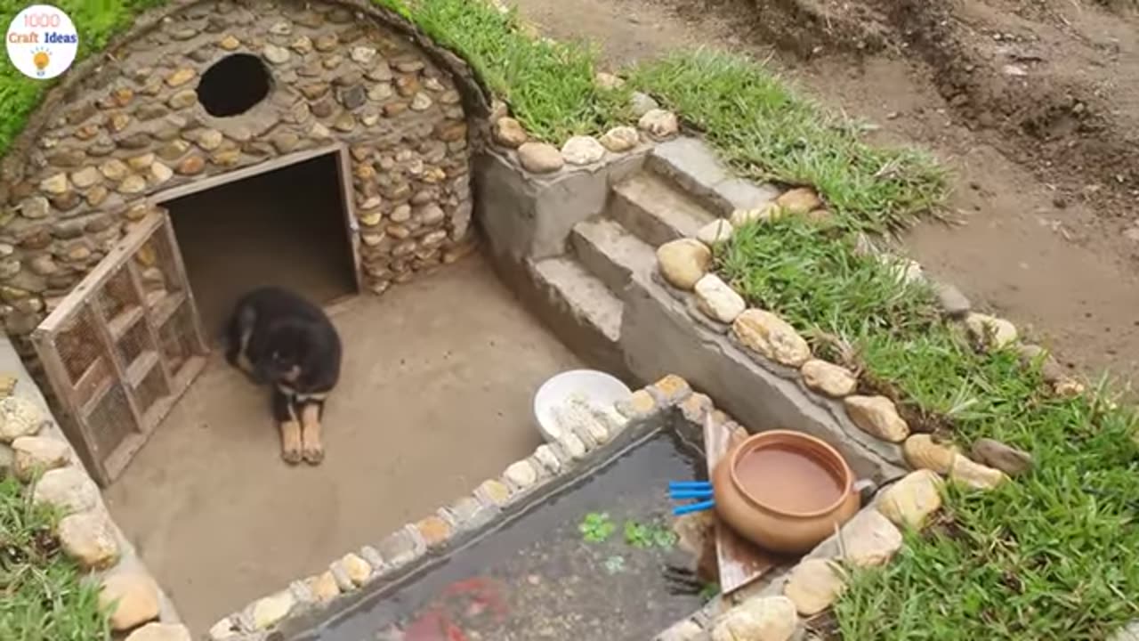 Build aquarium and puppy house underground..
