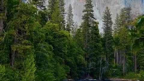 The beauty of nature