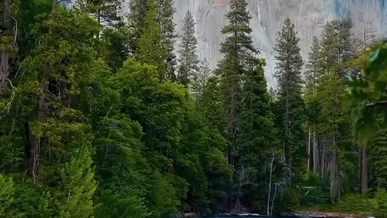 The beauty of nature