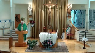 Homily for the 22nd Sunday in Ordinary Time "C"