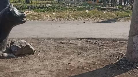 Kereta api melaju cepat