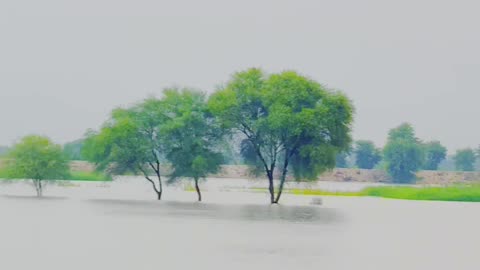 Village Underwater Shocking Flood Scenes You Need to See #Flood #Sindh #maxRECORDS