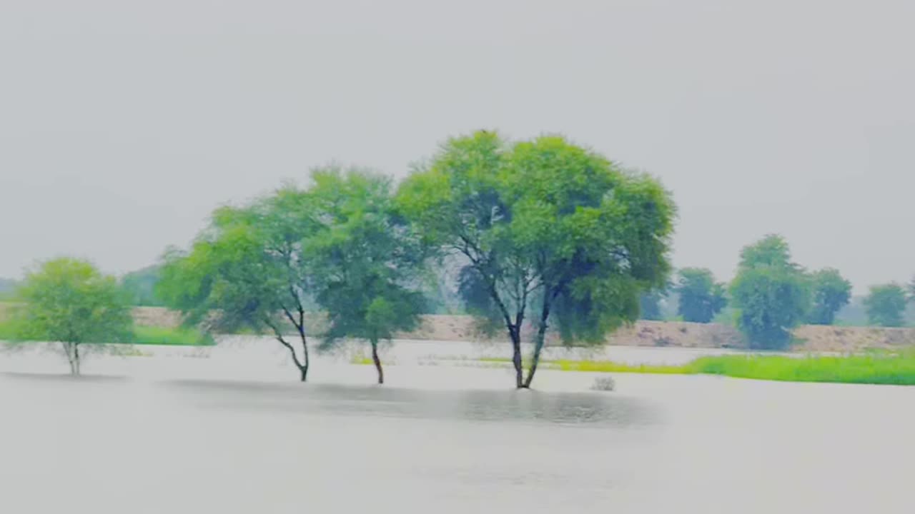Village Underwater Shocking Flood Scenes You Need to See #Flood #Sindh #maxRECORDS