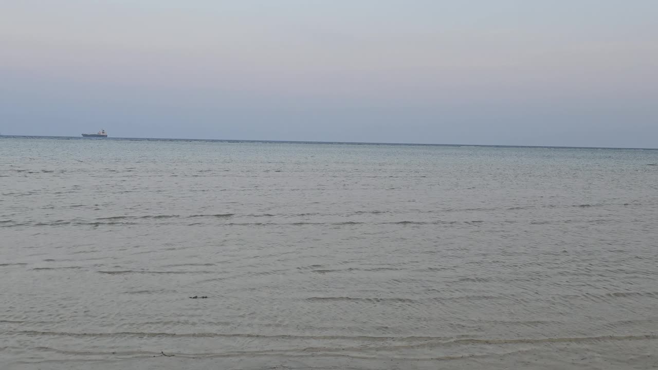 Nature in Portsudaan