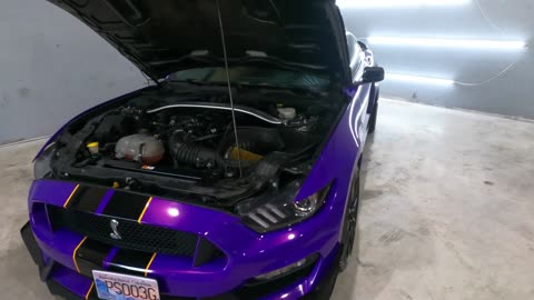 $1,000,000 Shelby GT 500 at Car Meet!! part 3
