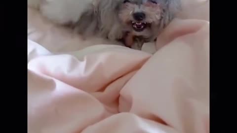 Esto le pasa por ser hijo único