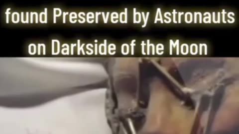 The Alien Girl of Apollo 20 | Moon's Dark Secret: The Ancient Female Alien Discovered by Astronauts