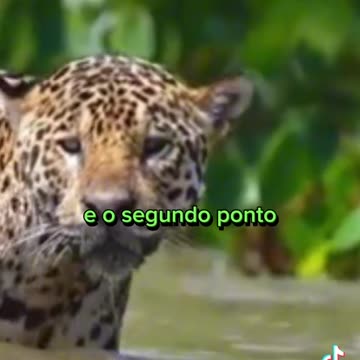 A Maior Fazenda do Mundo - Roncador - Mato Grosso do Sul - Brasil