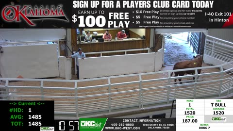 7/28/2025 - Cow & Bull Auction - OKC West