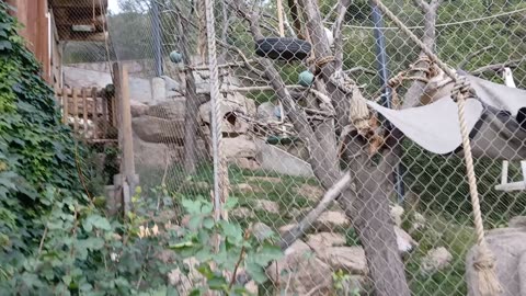 Cheyenne Mountain Zoo Part 15