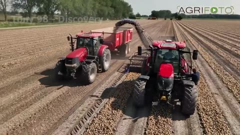 31 Harvests So Massive They Look Unreal – And They're Making Farmers Millions of Dollars