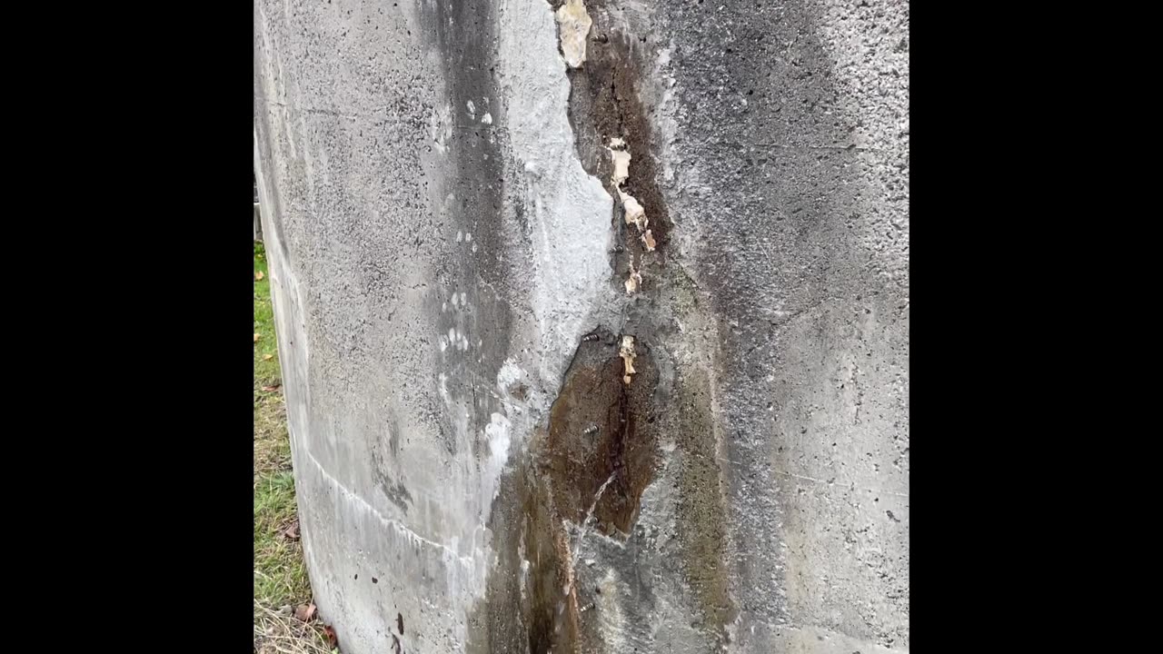 Leaking Tank