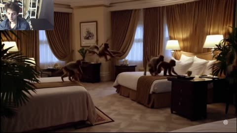 Over 10 Monkeys Roam Around A Hotel Fake Funny Parody Video