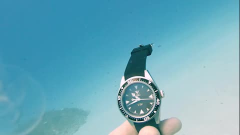 Jellyfish’s Tentacles Stretch and Shrink