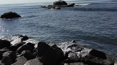 Upper Bird Rock View on a Calm Sunny Day #sunshine #calming