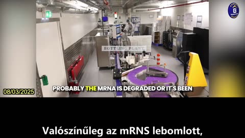 【HU】Jelentős tételszám-variabilitás az mRNS COVID-19 vakcinákban