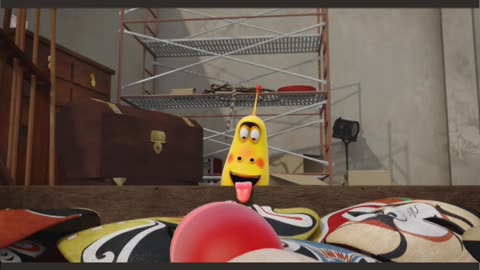 Funy videos