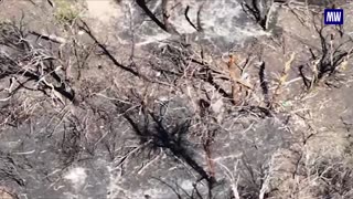 Liberation of Chunyshino: Strategic Operation by Russian Forces