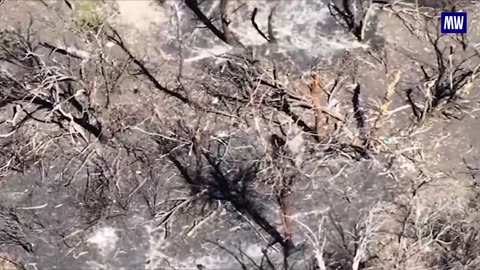 Liberation of Chunyshino: Strategic Operation by Russian Forces