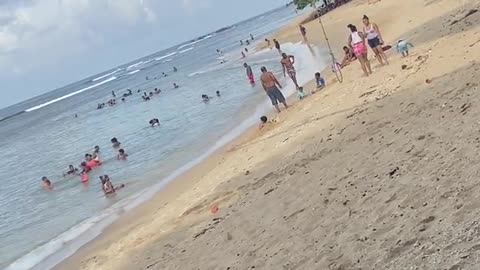 Man Falls From the Tree