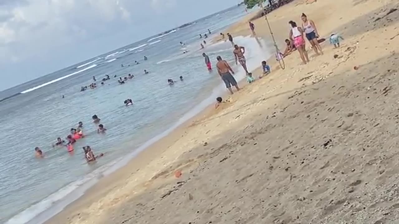 Man Falls From the Tree