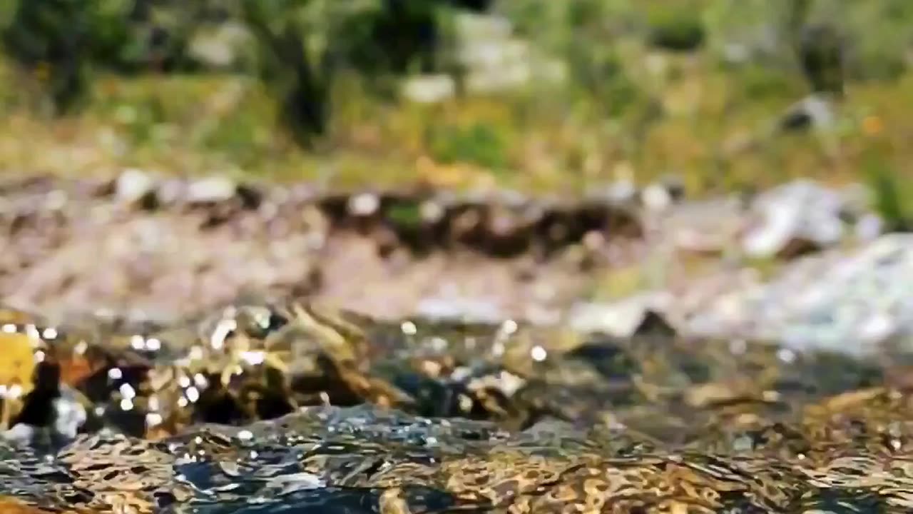 Mountain Serenity 🏔️💧 | Sounds of Nature