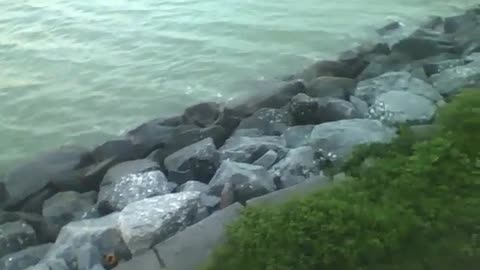 Filming the rocks of the sea as the waves come and go, beyond the horizon at dusk [Nature & Animals]