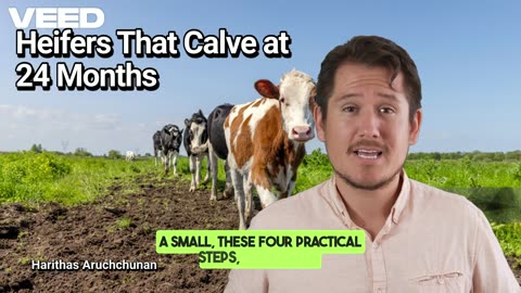 Maximize Profits:Heifers Calving at 24 Months