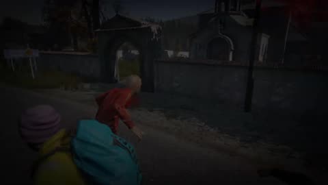 complete beginner's guide DayZ