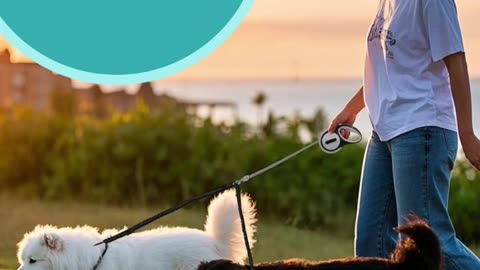 Double Retractable Dog Leash | Walk 2 Dogs Easily with One Leash