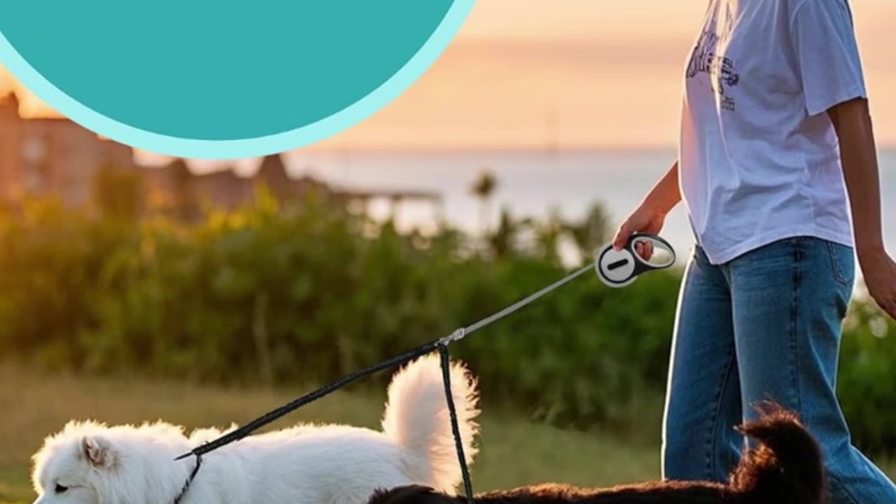 Double Retractable Dog Leash | Walk 2 Dogs Easily with One Leash
