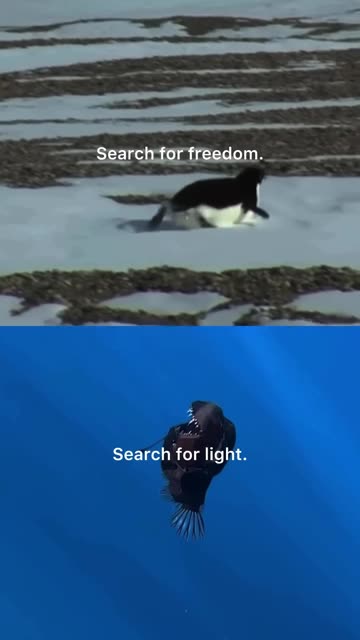 Penguin and The Sea Devil